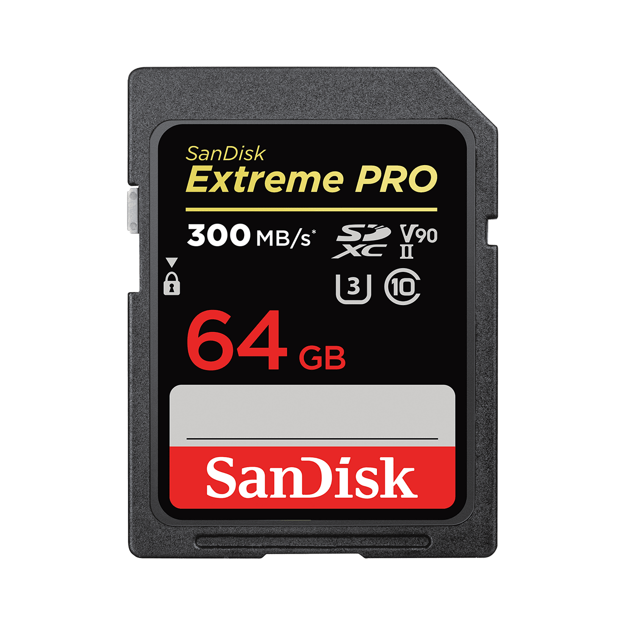 64GB PRO SD-Karte